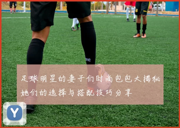 足球明星的妻子们时尚包包大揭秘她们的选择与搭配技巧分享