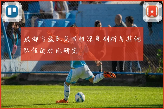 成都飞盘队灵活性深度剖析与其他队伍的对比研究