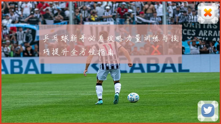 乒乓球新手必看攻略力量训练与技巧提升全方位指南