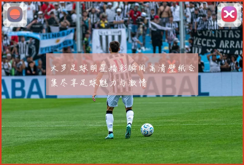 大罗足球明星精彩瞬间高清壁纸合集尽享足球魅力与激情