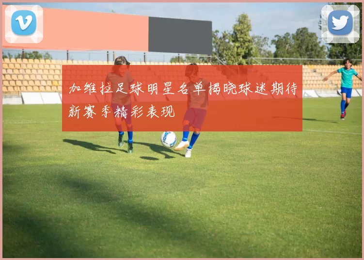 加维拉足球明星名单揭晓球迷期待新赛季精彩表现