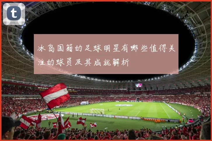 冰岛国籍的足球明星有哪些值得关注的球员及其成就解析