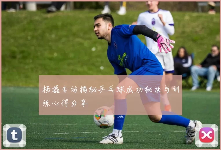 杨磊专访揭秘乒乓球成功秘诀与训练心得分享