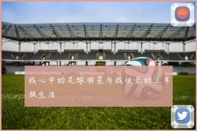 我心中的足球明星与我快乐的三年级生活