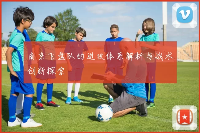南京飞盘队的进攻体系解析与战术创新探索