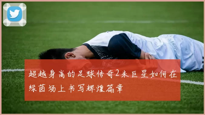 超越身高的足球传奇2米巨星如何在绿茵场上书写辉煌篇章