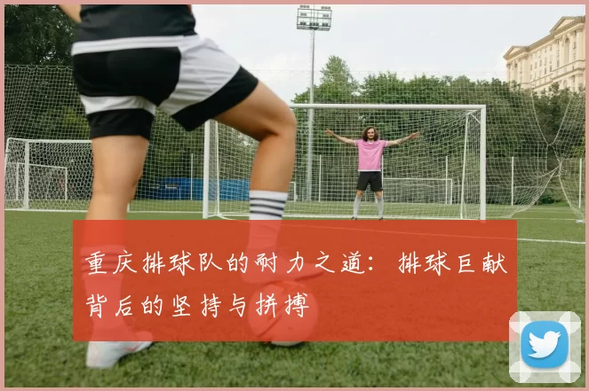 重庆排球队的耐力之道：排球巨献背后的坚持与拼搏
