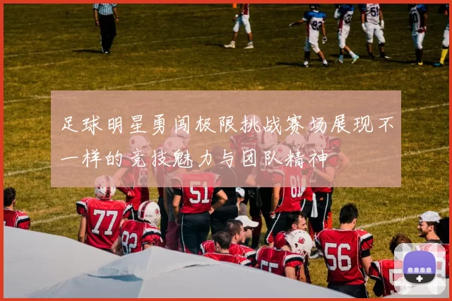 足球明星勇闯极限挑战赛场展现不一样的竞技魅力与团队精神