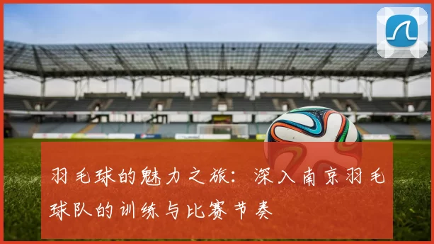 羽毛球的魅力之旅：深入南京羽毛球队的训练与比赛节奏