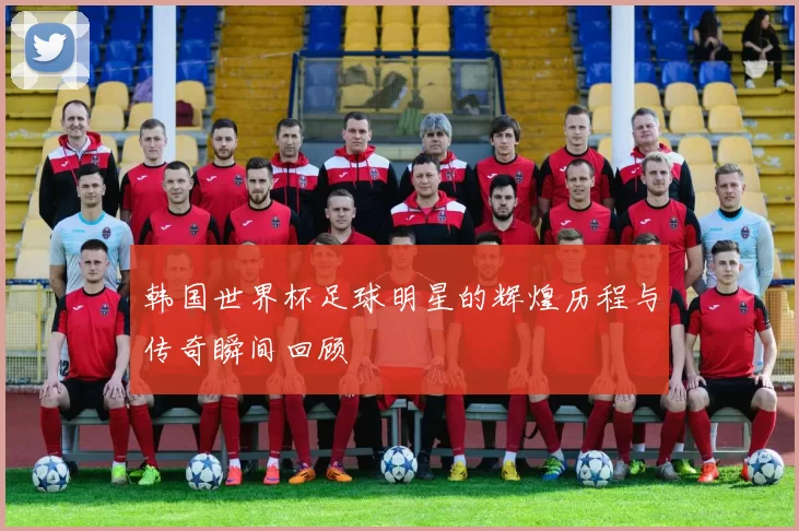韩国世界杯足球明星的辉煌历程与传奇瞬间回顾