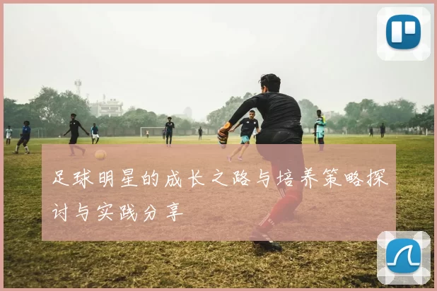 足球明星的成长之路与培养策略探讨与实践分享